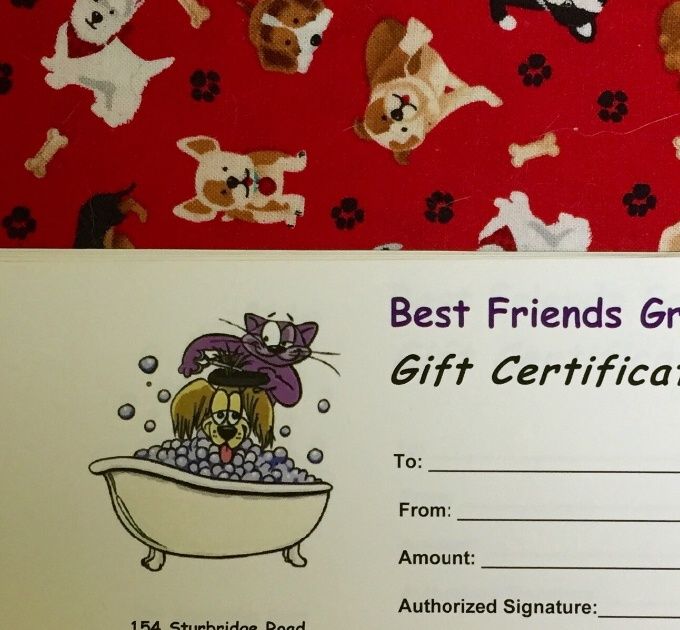 Gift Certificates Available! 
Gift Certificates make the perfect gift for all pet owners, any occasion, anytime of the year. Purchase a Gift Certificate today and make any pet owner a happy owner!



