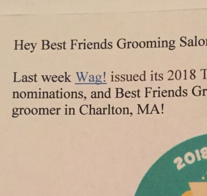 We are so thrilled We won the Award for  Best Grooming Salon in Charlton,MA for 2018! Call and make your pets appointment today and 1st time customers will receive $10.00 off their pets first groom or bath! Call 508-662-5527 or 508-264-7723